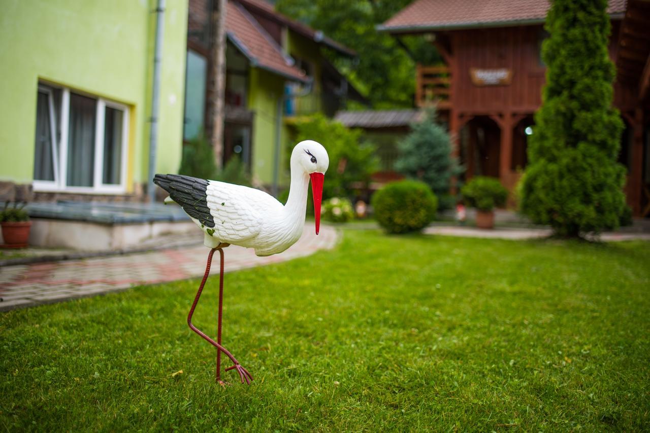 Pensiunea George Gura Raului Bagian luar foto